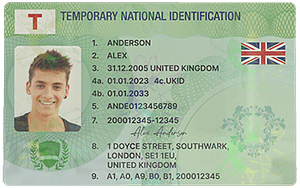 Green “Temporary” License Card