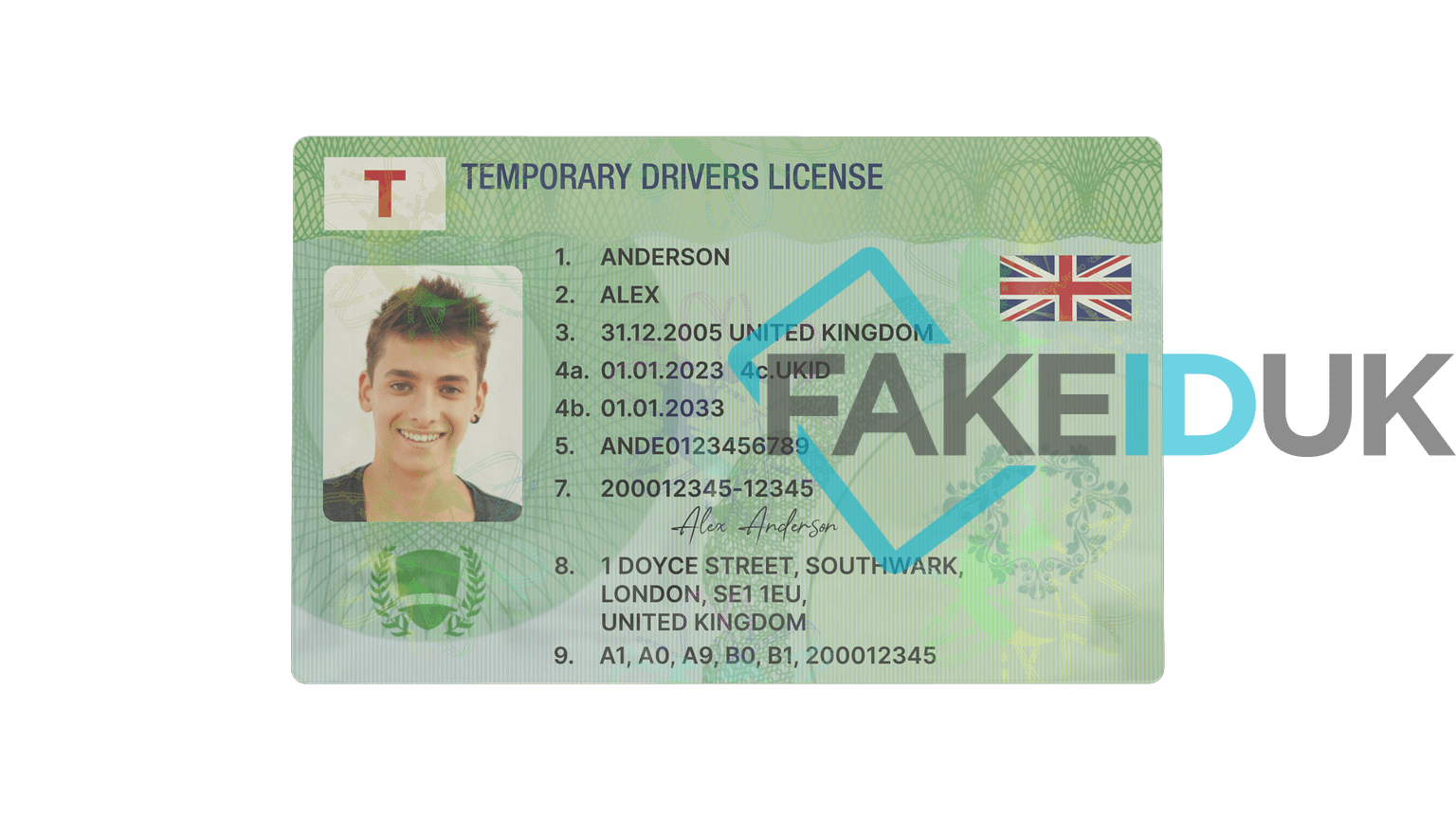 Green "Temporary" License Card