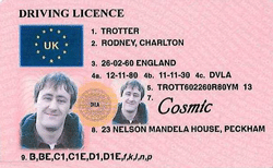 Fake UK Driving Licence with fictional character Rodney Trotter